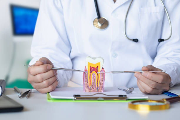 Best Knocked-Out Tooth Emergency  in Blue Mountain, MS
